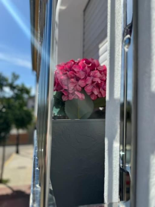 Practico, Centrico, Unico Y Moderno. Apartament *