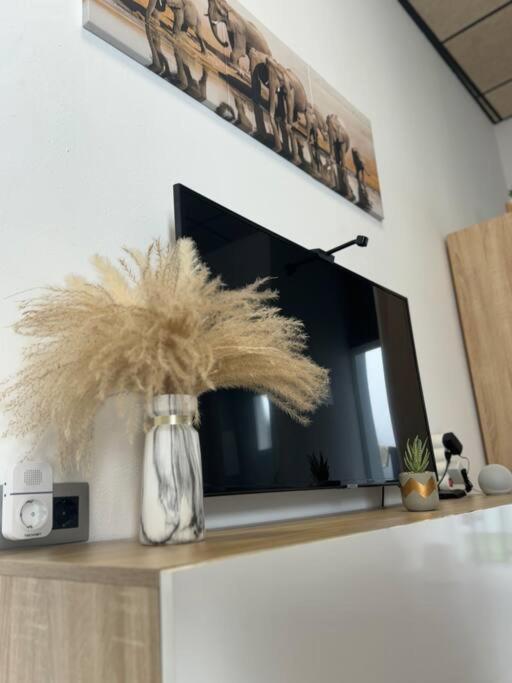 Practico, Centrico, Unico Y Moderno. Apartment Algodonales